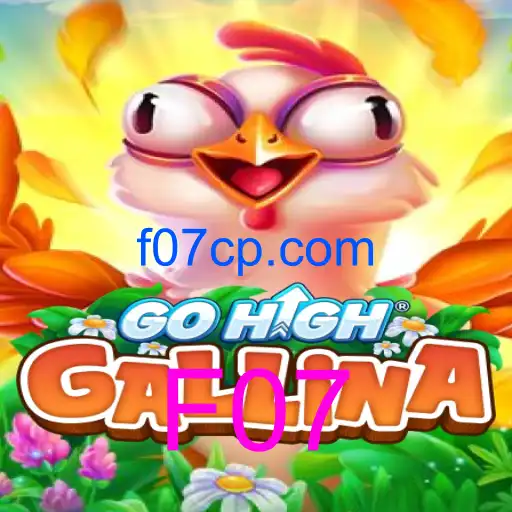 GoHighGallina